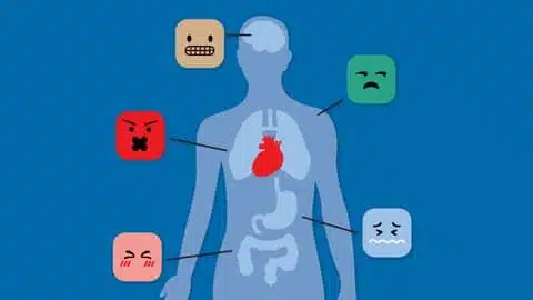 Udemy Marketplace Thumbnail - Emotional Intelligence at Work: Learn from Your Emotions