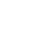 Discount icon